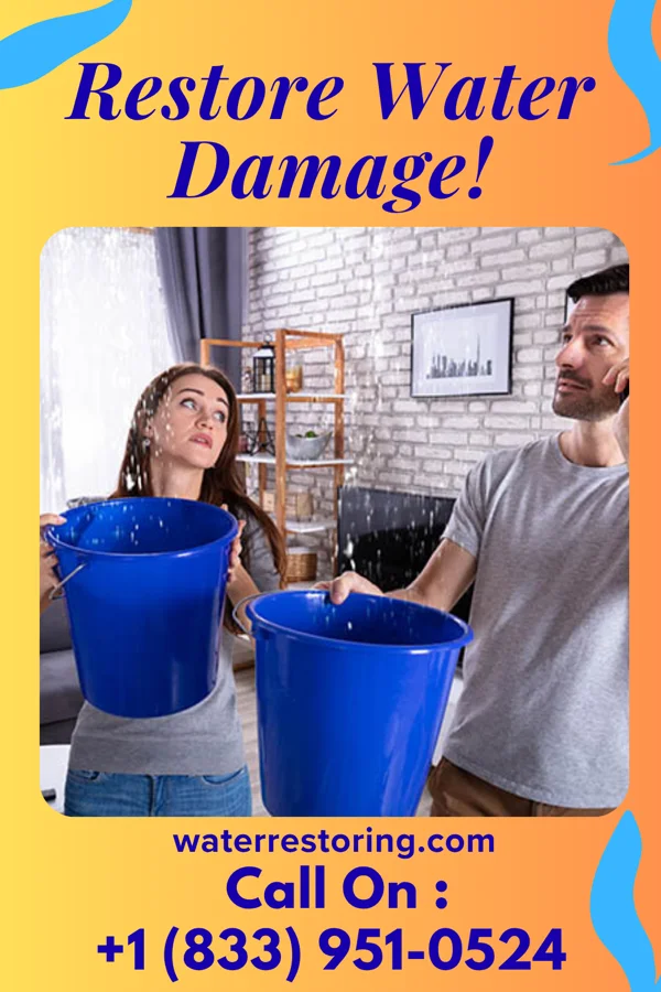 water restoration Local Water Damage Brothers Rossville