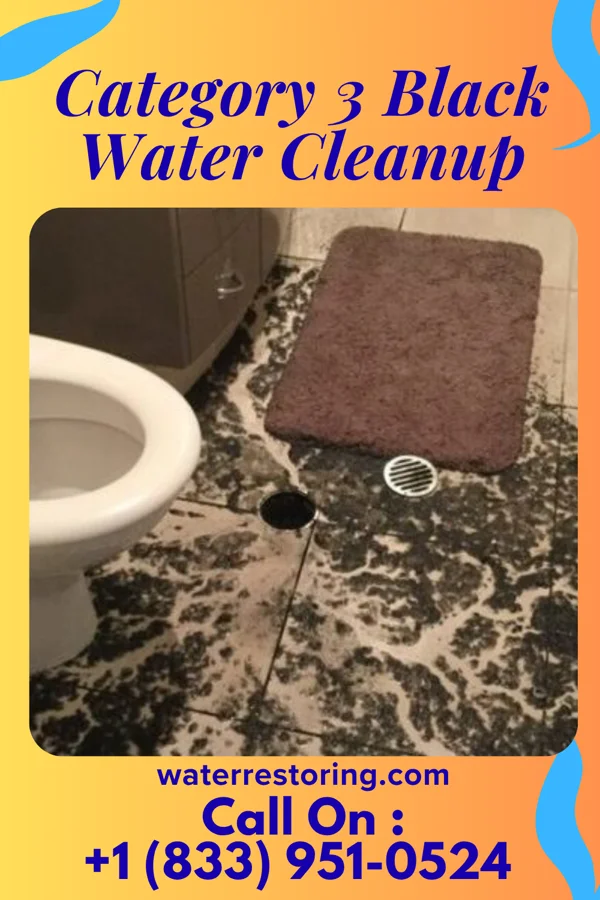 Category 3 Black Water Cleanup in Rossville, MD