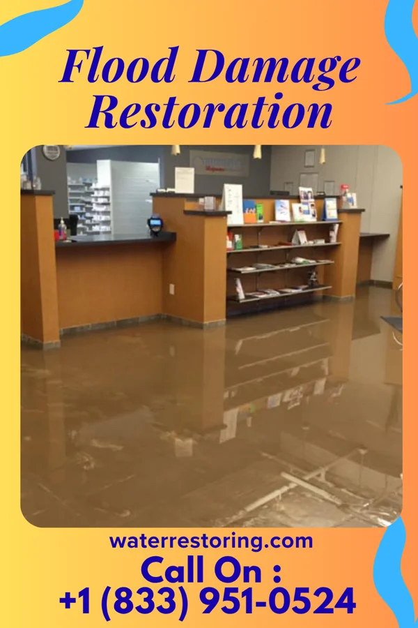 Flood Damage Restoration in Rossville, MD
